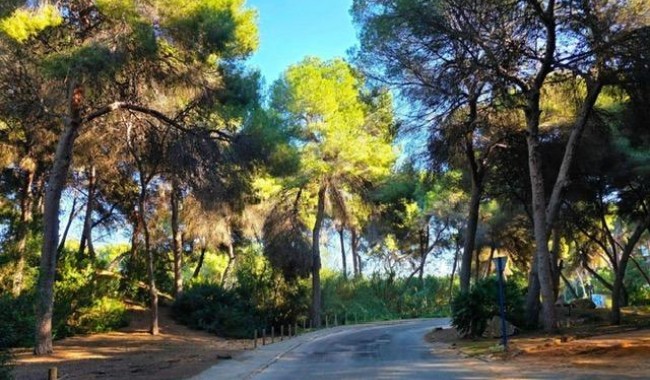 Begagnad - Villa - Orihuela Costa - Dehesa de Campoamor