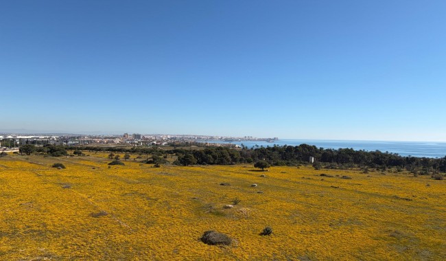 Begagnad - Lägenhet - Torrevieja - Punta prima