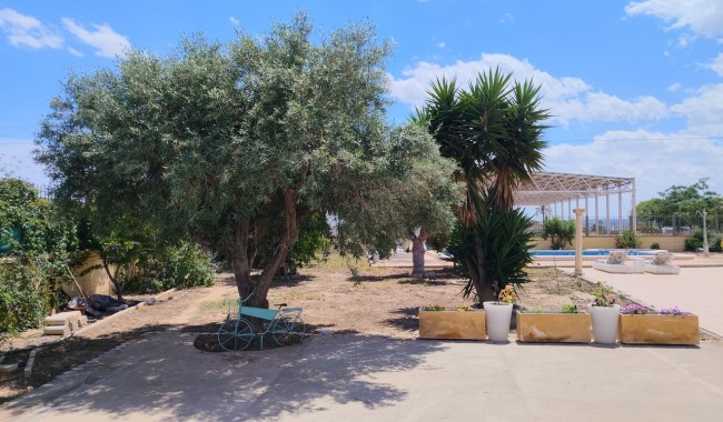 Resale - Finca - Los Montesinos