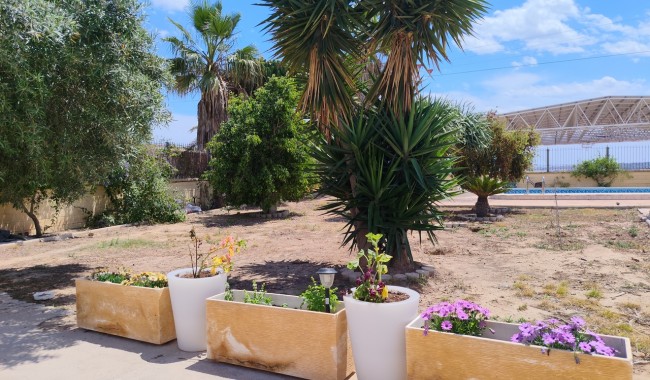 Resale - Finca - Los Montesinos