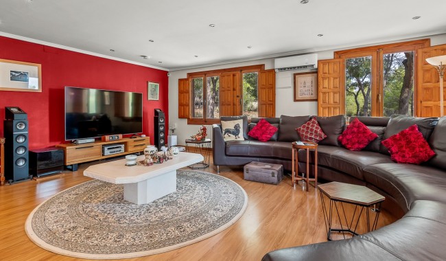 Resale - Finca - Torremendo