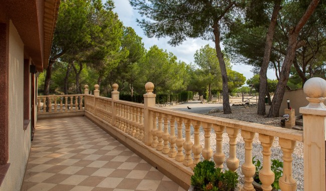 Resale - Finca - Torremendo