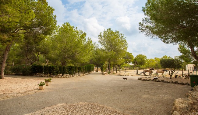 Resale - Finca - Torremendo