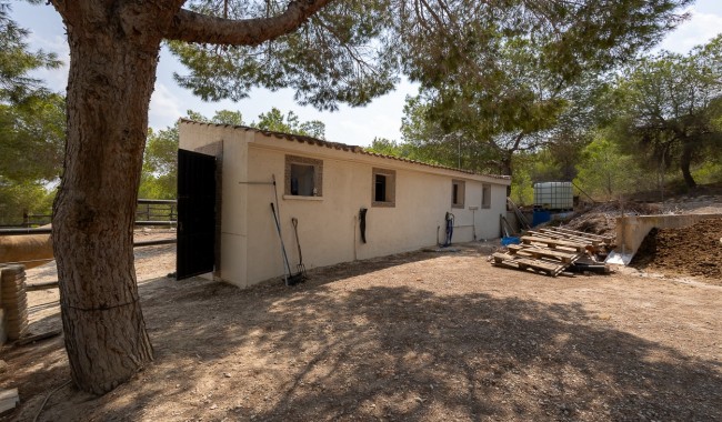 Resale - Finca - Torremendo
