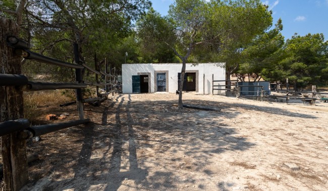 Resale - Finca - Torremendo