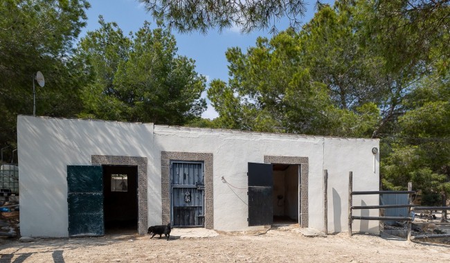 Resale - Finca - Torremendo