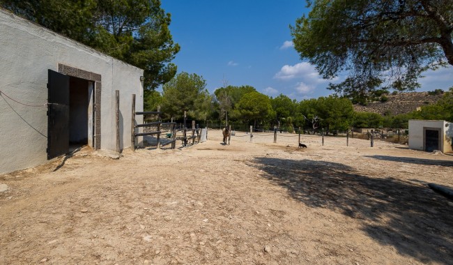 Resale - Finca - Torremendo