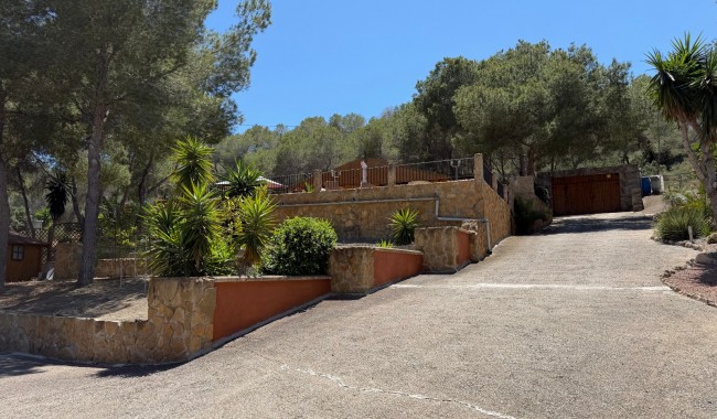 Finca - Brukt - Orihuela - Torremendo