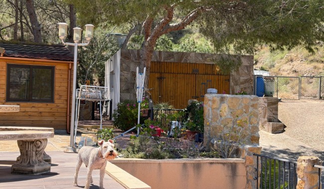 Brukt - Finca - Orihuela - Torremendo