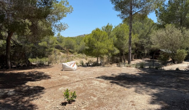 Brukt - Finca - Orihuela - Torremendo