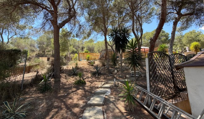 Brukt - Finca - Orihuela - Torremendo