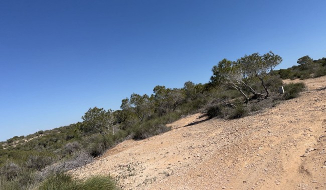 Resale - Plot - San Fulgencio - La Marina