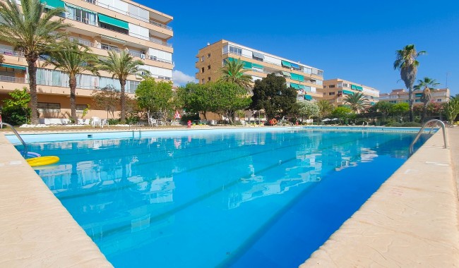 Resale - Business premises - Guardamar - Guardamar del Segura