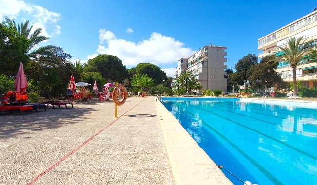 Resale - Business premises - Guardamar - Guardamar del Segura