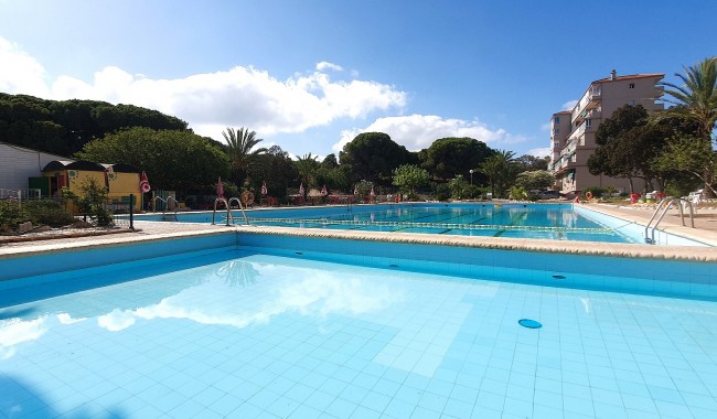 Resale - Business premises - Guardamar - Guardamar del Segura