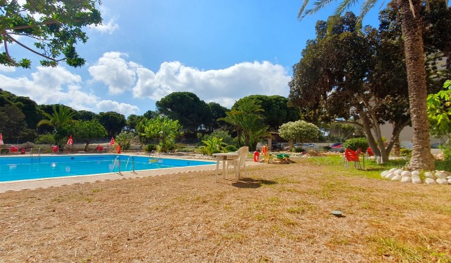Resale - Business premises - Guardamar - Guardamar del Segura