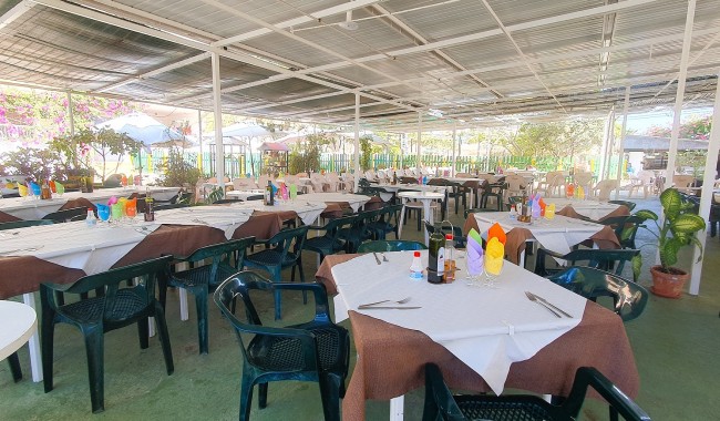 Resale - Business premises - Guardamar - Guardamar del Segura