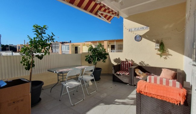 Brukt - Leilighet - La Mata, Torrevieja - La Mata