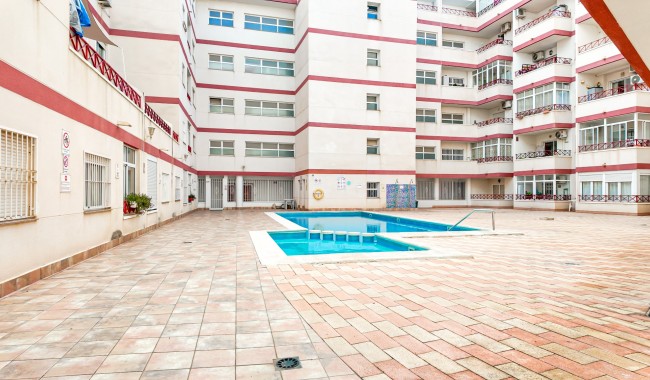 Segunda mano - Apartamento - Torrevieja - Parque las naciones