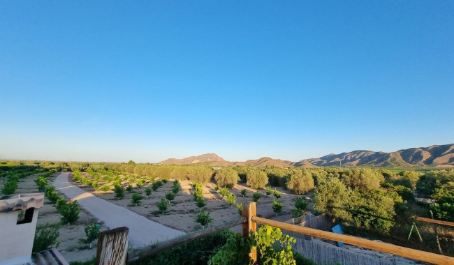 Sprzedaż - Kamienica - Orihuela - Benferri