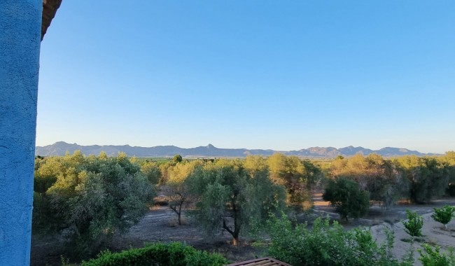 Sprzedaż - Kamienica - Orihuela - Benferri