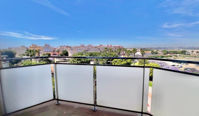 Segunda mano - Apartamento - Torrevieja - Acequion