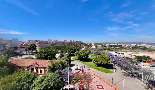Segunda mano - Apartamento - Torrevieja - Acequion