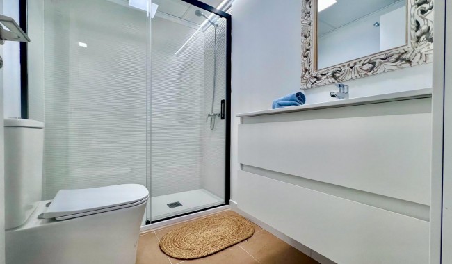Segunda mano - Apartamento - Torrevieja - Acequion