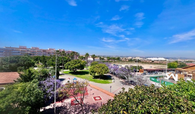 Segunda mano - Apartamento - Torrevieja - Acequion
