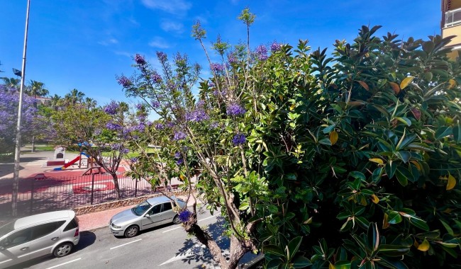 Begagnad - Lägenhet - Torrevieja - Acequion