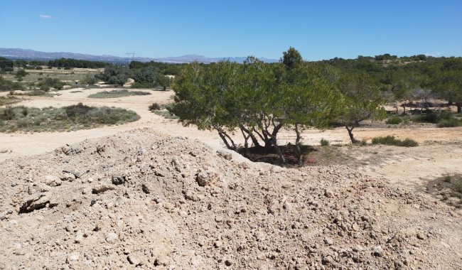 Resale - Plot - San Fulgencio - La Marina