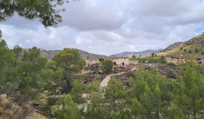 Parcela - Segunda mano - Murcia - Abanilla