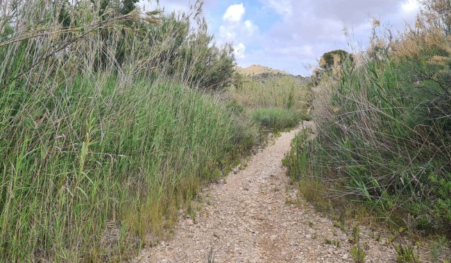 Brukt - Tomt - Murcia - Abanilla