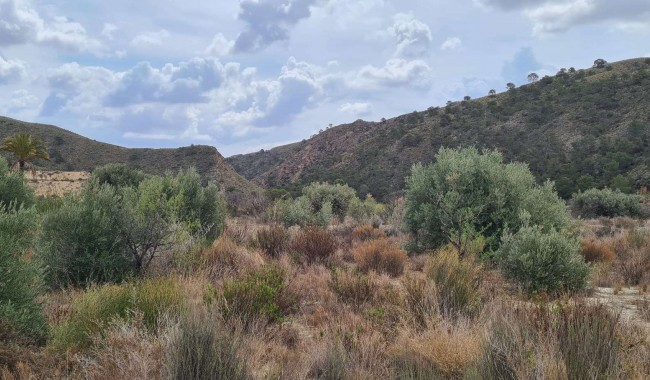 Brukt - Tomt - Murcia - Abanilla