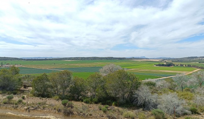 Resale - Villa - Algorfa - La Finca golf