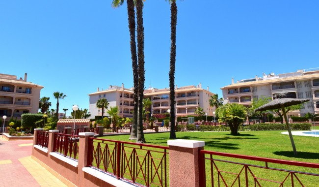 Begagnad - Lägenhet - Orihuela Costa - Playa Flamenca