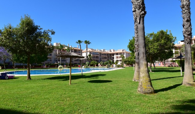 Begagnad - Lägenhet - Orihuela Costa - Playa Flamenca