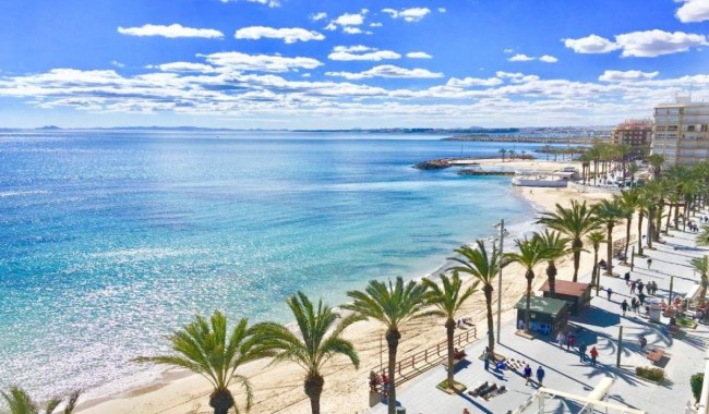 Nybyggnation - Bungalow - Torrevieja - Lago Jardin