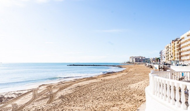 Nybyggnation - Bungalow - Torrevieja - Lago Jardin