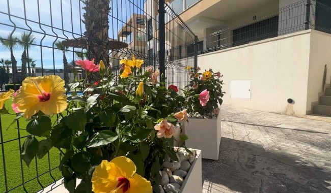 Segunda mano - Apartamento - Orihuela Costa - Villamartín