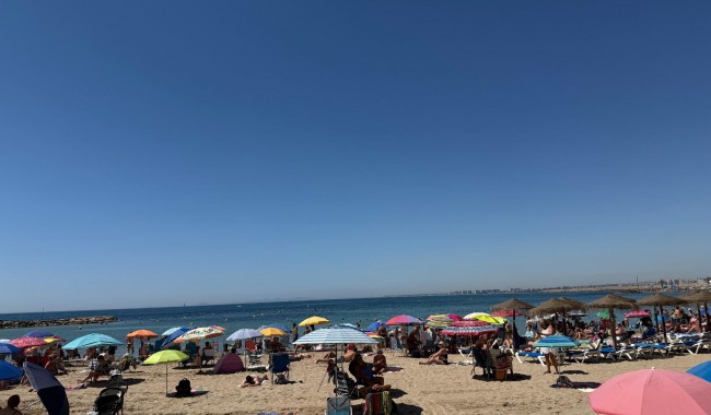Segunda mano - Apartamento - Torrevieja - Playa del cura