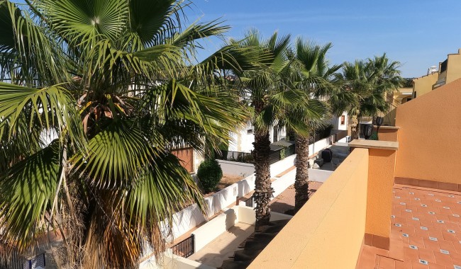 Begagnad - Radhus - Algorfa - La Finca golf