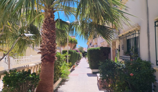 Brukt - Rekkehus - Orihuela Costa - La Zenia