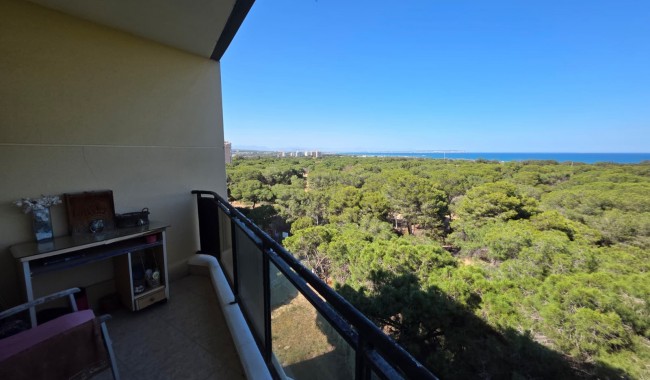 Resale - Apartment - Guardamar - Pineforest