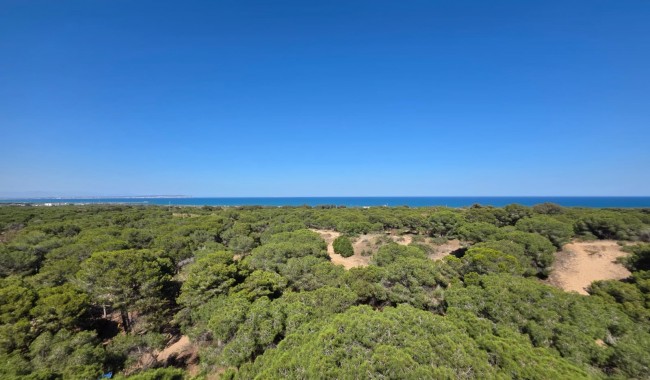 Resale - Apartment - Guardamar - Pineforest