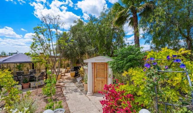 Begagnad - Finca - Catral