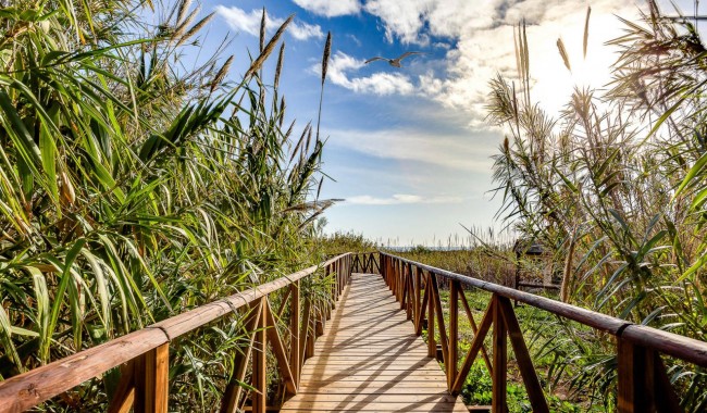 Brukt - Villa - San Fulgencio - La Marina