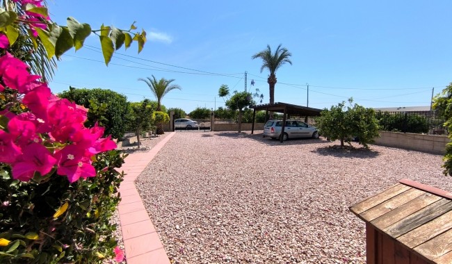 Begagnad - Finca - Albatera