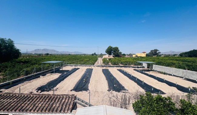Begagnad - Finca - Albatera