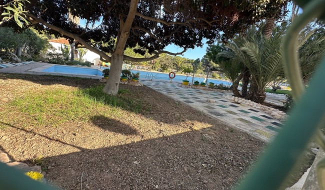 Sprzedaż - Apartament - Guardamar - Pinomar
